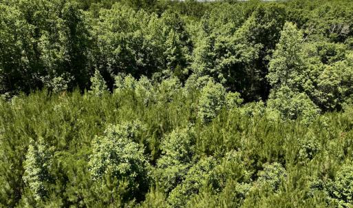Photo #19 of SOLD property in Off Baltimore Rd, Warrenton, NC 2.4 acres