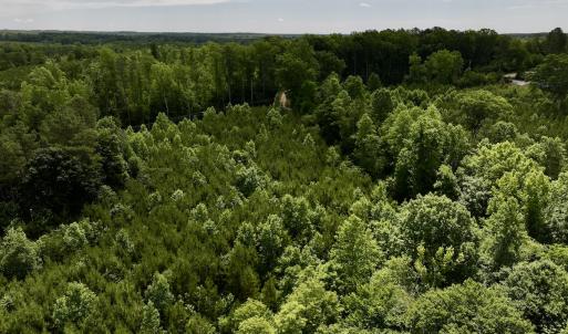 Photo #8 of SOLD property in Off Baltimore Rd, Warrenton, NC 2.4 acres