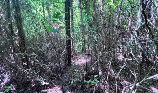 Photo #26 of SOLD property in Off Baltimore Rd, Warrenton, NC 2.4 acres