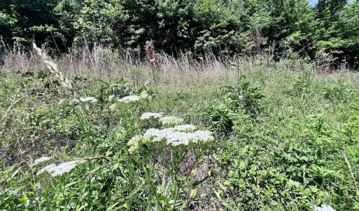 Photo #27 of SOLD property in Off Baltimore Rd, Warrenton, NC 2.4 acres