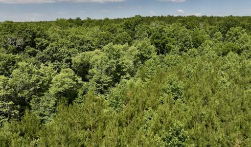 Photo #30 of SOLD property in Off Baltimore Rd, Warrenton, NC 2.4 acres