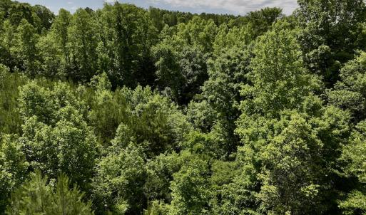 Photo #31 of SOLD property in Off Baltimore Rd, Warrenton, NC 2.4 acres