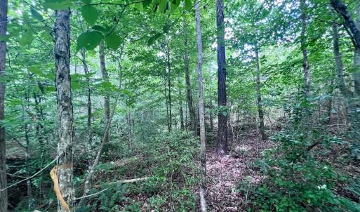 Photo #34 of SOLD property in Off Baltimore Rd, Warrenton, NC 2.4 acres