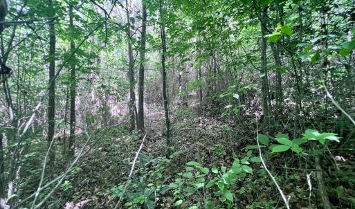 Photo #37 of SOLD property in Off Baltimore Rd, Warrenton, NC 2.4 acres