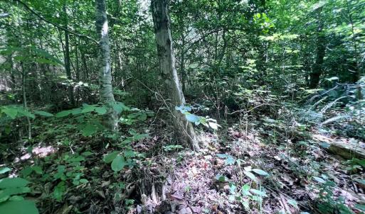 Photo #38 of SOLD property in Off Baltimore Rd, Warrenton, NC 2.4 acres