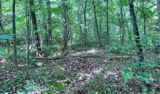 Photo #39 of SOLD property in Off Baltimore Rd, Warrenton, NC 2.4 acres