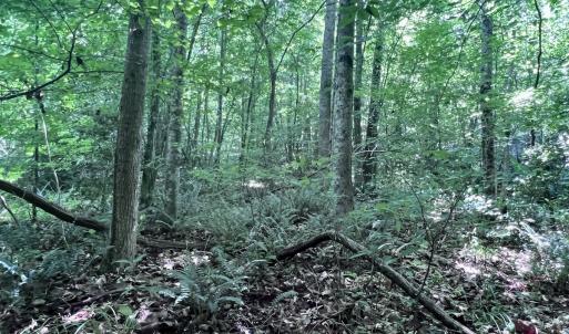 Photo #40 of SOLD property in Off Baltimore Rd, Warrenton, NC 2.4 acres