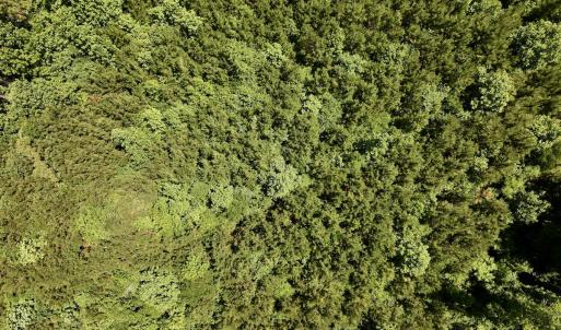 Photo #44 of SOLD property in Off Baltimore Rd, Warrenton, NC 2.4 acres