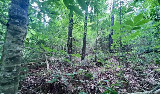 Photo #45 of SOLD property in Off Baltimore Rd, Warrenton, NC 2.4 acres