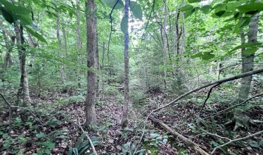 Photo #46 of SOLD property in Off Baltimore Rd, Warrenton, NC 2.4 acres