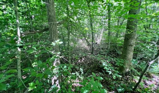 Photo #47 of SOLD property in Off Baltimore Rd, Warrenton, NC 2.4 acres