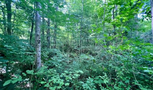 Photo #48 of SOLD property in Off Baltimore Rd, Warrenton, NC 2.4 acres