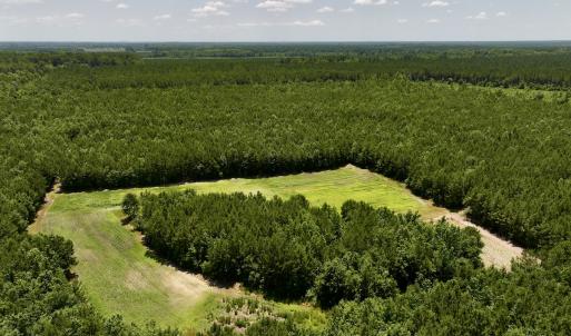 Photo #16 of Off Long Ridge Rd, Plymouth, NC 88.7 acres