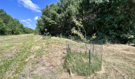 Photo #27 of Off Long Ridge Rd, Plymouth, NC 88.7 acres