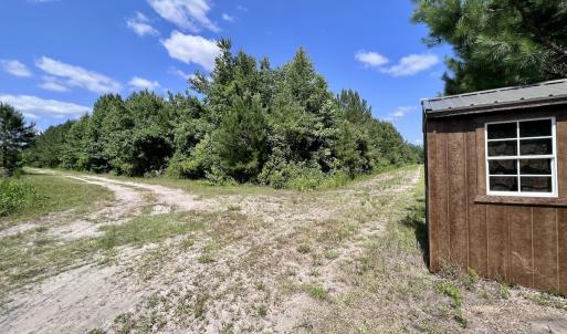Photo #29 of Off Long Ridge Rd, Plymouth, NC 88.7 acres