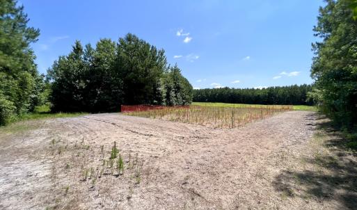 Photo #64 of Off Long Ridge Rd, Plymouth, NC 88.7 acres