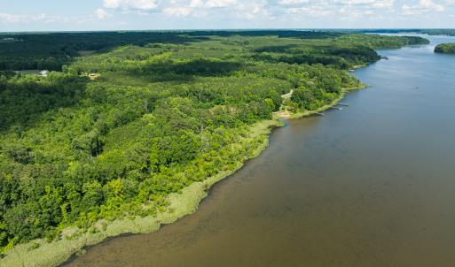 Photo #19 of SOLD property in Off Old Gaston Extended - Lot 3, Gaston, NC 4.1 acres