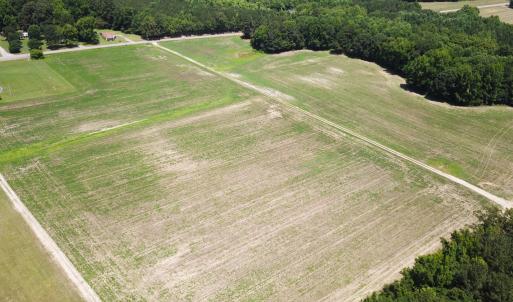 Photo #2 of SOLD property in Off Meherrin Rd, Courtland, VA 115.0 acres