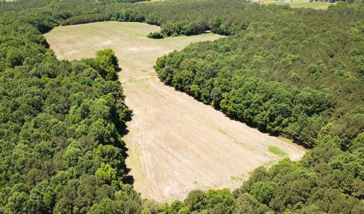 Photo #3 of SOLD property in Off Meherrin Rd, Courtland, VA 115.0 acres