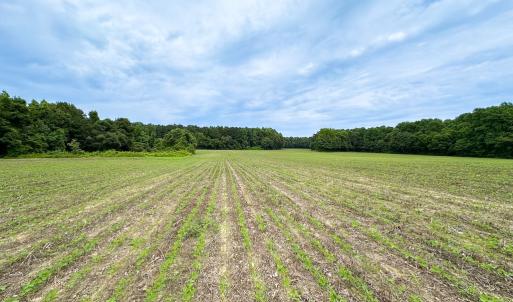 Photo #4 of SOLD property in Off Meherrin Rd, Courtland, VA 115.0 acres