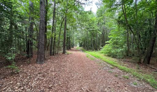 Photo #6 of SOLD property in Off Meherrin Rd, Courtland, VA 115.0 acres