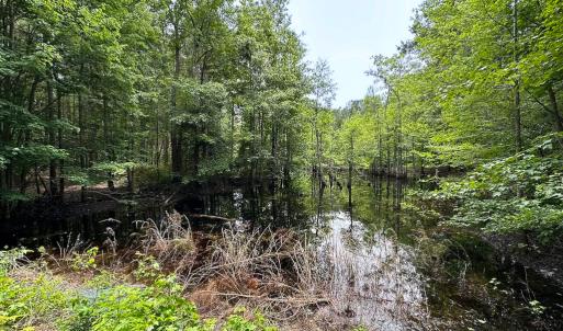 Photo #7 of SOLD property in Off Meherrin Rd, Courtland, VA 115.0 acres