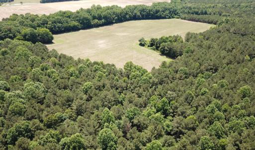 Photo #8 of SOLD property in Off Meherrin Rd, Courtland, VA 115.0 acres