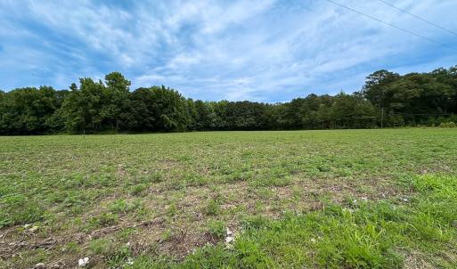 Photo #9 of SOLD property in Off Meherrin Rd, Courtland, VA 115.0 acres