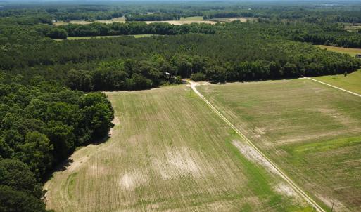 Photo #11 of SOLD property in Off Meherrin Rd, Courtland, VA 115.0 acres