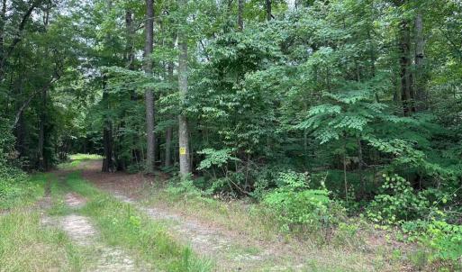 Photo #13 of SOLD property in Off Meherrin Rd, Courtland, VA 115.0 acres