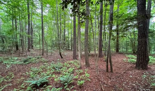 Photo #15 of SOLD property in Off Meherrin Rd, Courtland, VA 115.0 acres