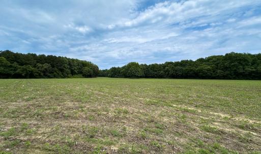 Photo #16 of SOLD property in Off Meherrin Rd, Courtland, VA 115.0 acres