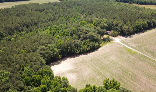 Photo #17 of SOLD property in Off Meherrin Rd, Courtland, VA 115.0 acres