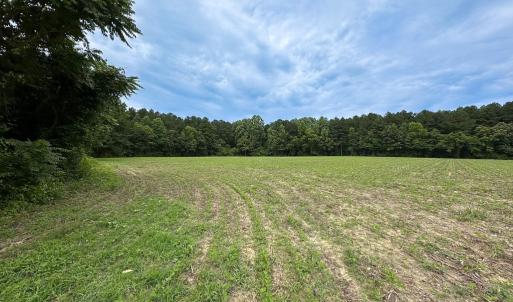 Photo #18 of SOLD property in Off Meherrin Rd, Courtland, VA 115.0 acres