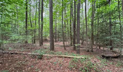 Photo #19 of SOLD property in Off Meherrin Rd, Courtland, VA 115.0 acres