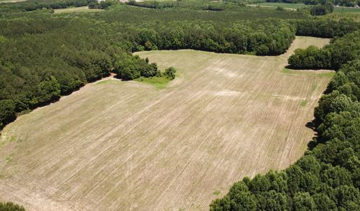 Photo #20 of SOLD property in Off Meherrin Rd, Courtland, VA 115.0 acres