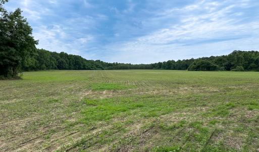 Photo #24 of SOLD property in Off Meherrin Rd, Courtland, VA 115.0 acres