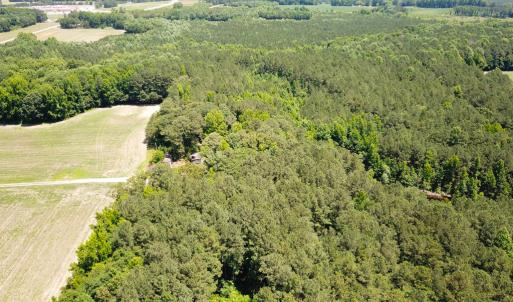 Photo #26 of SOLD property in Off Meherrin Rd, Courtland, VA 115.0 acres