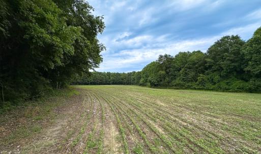 Photo #28 of SOLD property in Off Meherrin Rd, Courtland, VA 115.0 acres