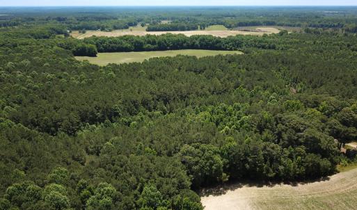 Photo #29 of SOLD property in Off Meherrin Rd, Courtland, VA 115.0 acres