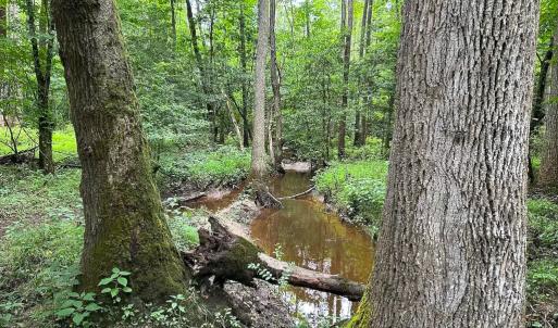 Photo #33 of SOLD property in Off Meherrin Rd, Courtland, VA 115.0 acres