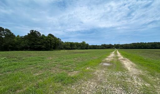 Photo #34 of SOLD property in Off Meherrin Rd, Courtland, VA 115.0 acres