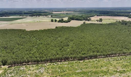 Photo #9 of SOLD property in Off Highway 903, Snow Hill, NC 116.0 acres