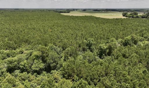 Photo #11 of SOLD property in Off Highway 903, Snow Hill, NC 116.0 acres
