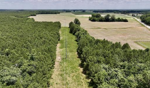 Photo #12 of SOLD property in Off Highway 903, Snow Hill, NC 116.0 acres