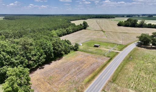 Photo #13 of SOLD property in Off Highway 903, Snow Hill, NC 116.0 acres