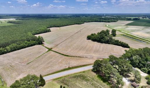 Photo #14 of SOLD property in Off Highway 903, Snow Hill, NC 116.0 acres