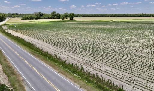 Photo #16 of SOLD property in Off Highway 903, Snow Hill, NC 116.0 acres