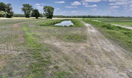 Photo #17 of SOLD property in Off Highway 903, Snow Hill, NC 116.0 acres