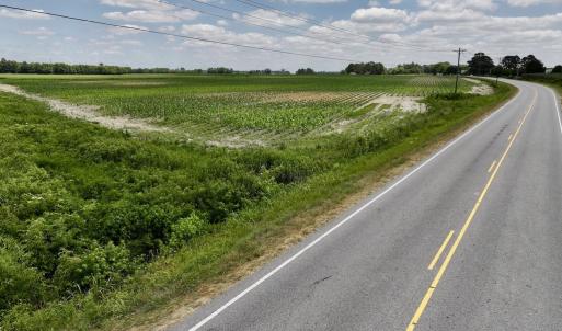 Photo #18 of SOLD property in Off Highway 903, Snow Hill, NC 116.0 acres